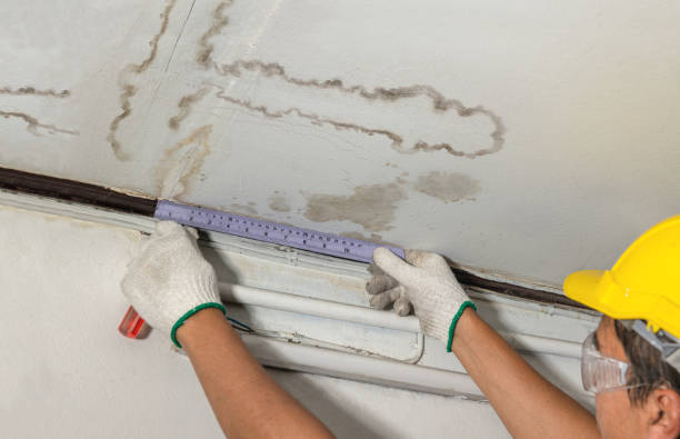 Reliable Water Damage contractor in Fairmount, GA by Water Damage Irwin